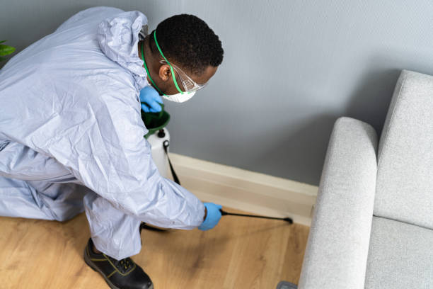 Best Residential Pest Control  in Holly, MI